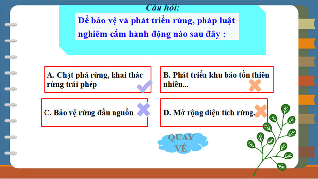 Ôn tập chương 2