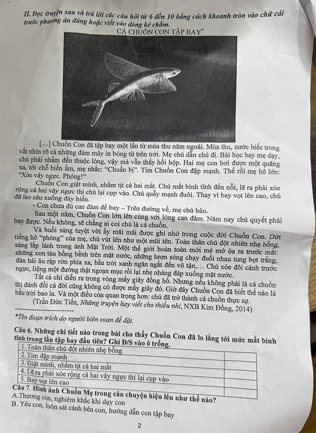 Đề thi vào lớp 6 môn Tiếng Việt trường THCS Trọng điểm Hải Dương năm 2025-2026