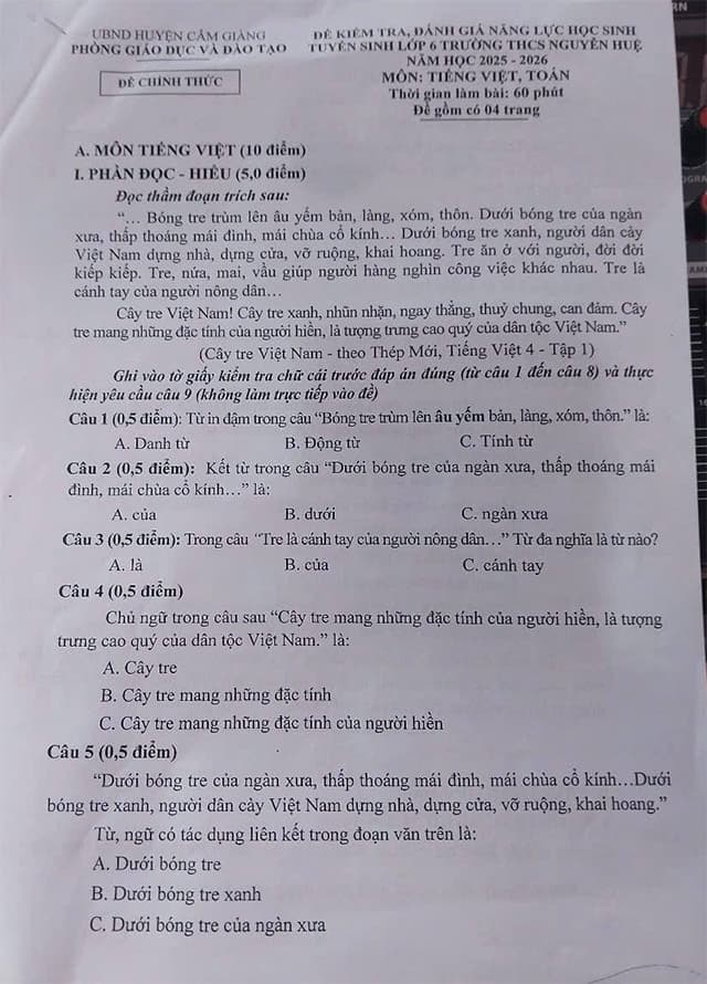 Đề thi Tiếng Việt vào lớp 6 THCS Nguyễn Huệ năm 2025-2026