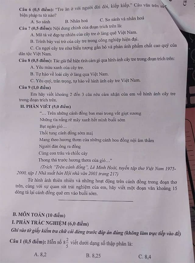 Đề thi Tiếng Việt vào lớp 6 THCS Nguyễn Huệ năm 2025-2026