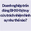Doanh nghiệp trốn đóng BHXH bị truy cứu trách nhiệm hình sự như thế nào?