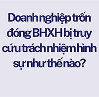 Doanh nghiệp trốn đóng BHXH bị truy cứu trách nhiệm hình sự như thế nào?