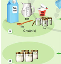 Giáo án mầm non: Quy trình làm sữa chua bằng cách thủ công