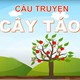 Giáo án mầm non: Truyện Cây Táo