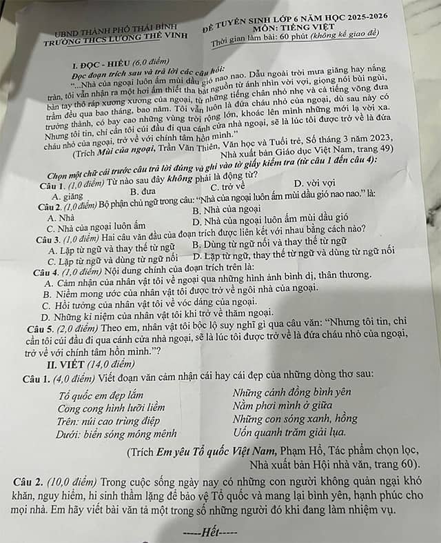 Đề thi Tiếng Việt vào lớp 6 trường THCS Lương Thế Vinh, Thái Bình năm 2025-2026