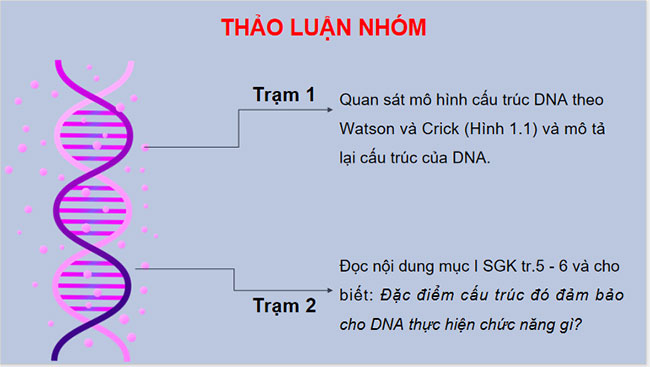DNA và cơ chế tái bản DNA