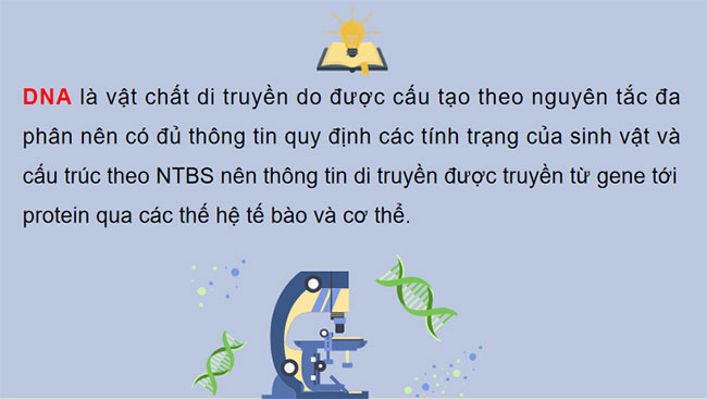 DNA và cơ chế tái bản DNA