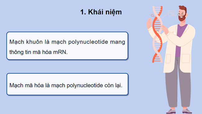 Gene quá trình truyền đạt thông tin di truyền và hệ gene
