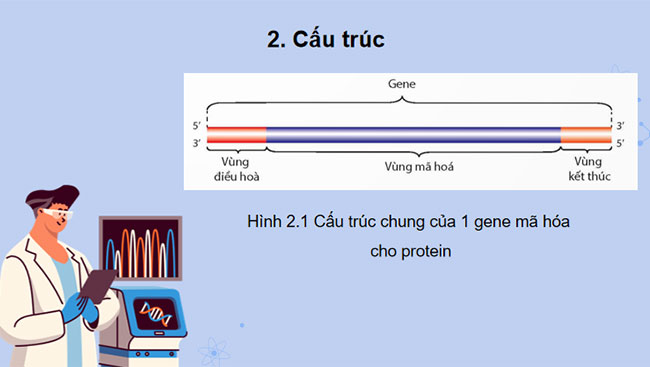 Gene quá trình truyền đạt thông tin di truyền và hệ gene