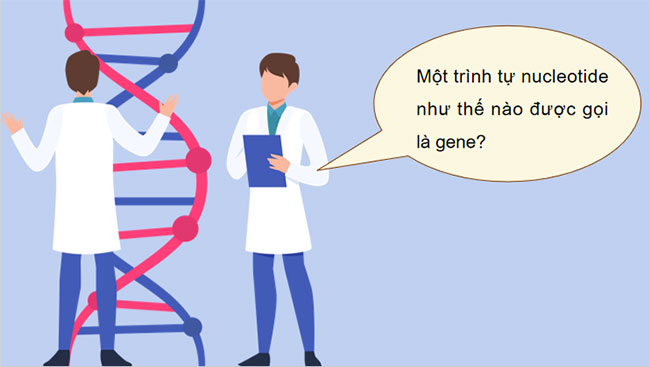Gene quá trình truyền đạt thông tin di truyền và hệ gene