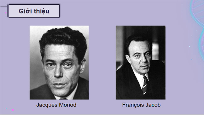 Điều hoà biểu hiện gene