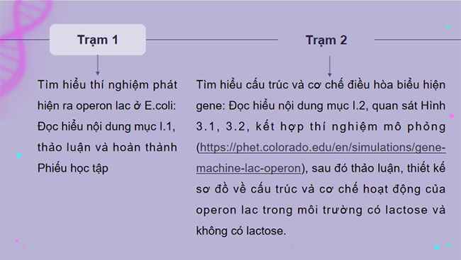 Điều hoà biểu hiện gene