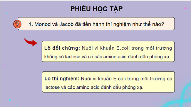 Điều hoà biểu hiện gene