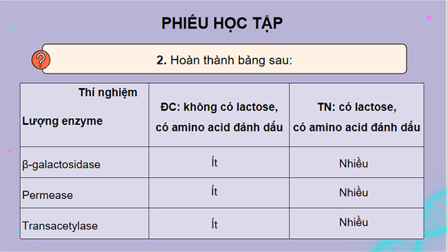 Điều hoà biểu hiện gene