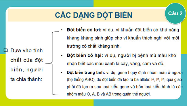 Đột biến gene