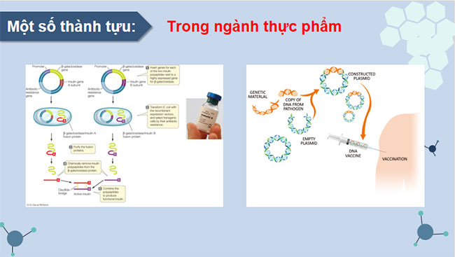 Công nghệ di truyền