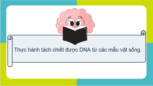 Thực hành Tách chiết DNA