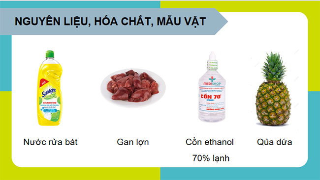 Thực hành Tách chiết DNA