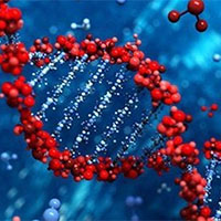 PowerPoint Sinh học 12 Bài 2: Gene quá trình truyền đạt thông tin di truyền và hệ gene