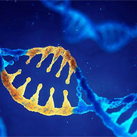 PowerPoint Sinh học 12 Bài 4: Đột biến gene