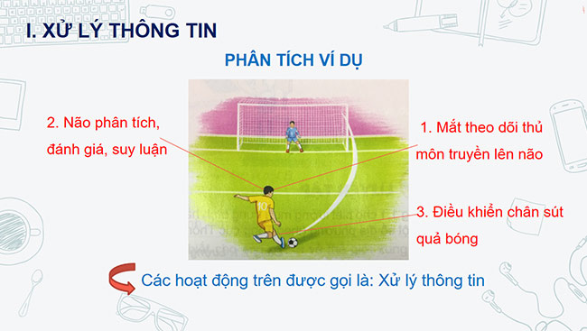 PowerPoint Tin học 6 Xử lý thông tin
