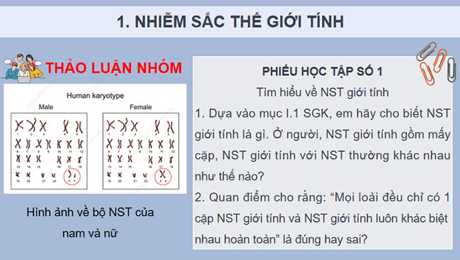 Di truyền giới tính và di truyền liên kết với giới tính
