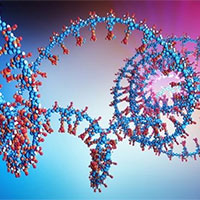 PowerPoint Sinh học 12 Bài 11: Liên kết gene và hoán vị gene