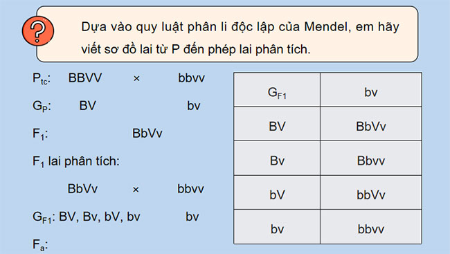 Liên kết gene và hoán vị gene