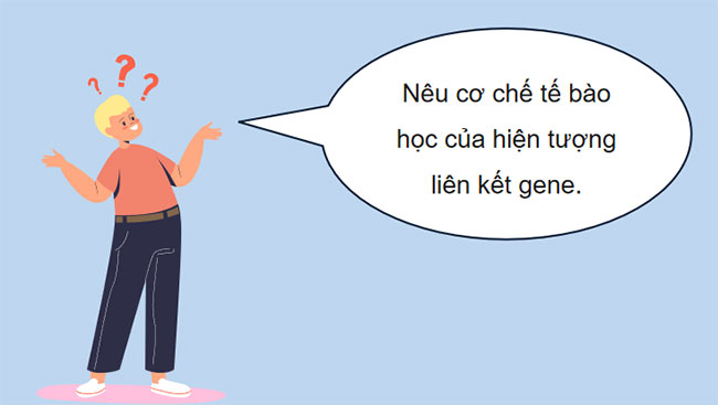 Liên kết gene và hoán vị gene