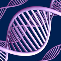 PowerPoint Sinh học 12 Bài 12: Đột biến nhiễm sắc thể