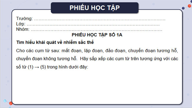 Đột biến nhiễm sắc thể