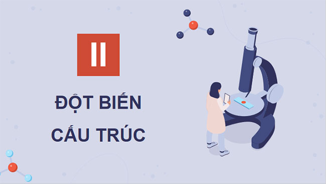 Đột biến nhiễm sắc thể