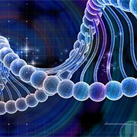 PowerPoint Sinh học 12 Bài 13: Di truyền học người và di truyền y học