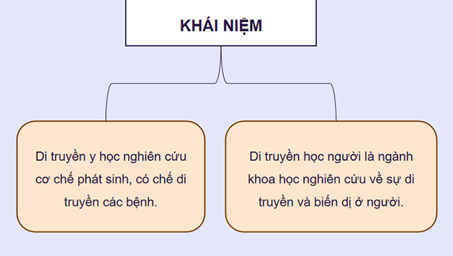 Di truyền học người và di truyền y học