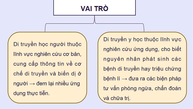 Di truyền học người và di truyền y học
