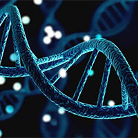 PowerPoint Sinh học 12 Bài 14: Thực hành Quan sát một số dạng đột biến nhiễm sắc thể