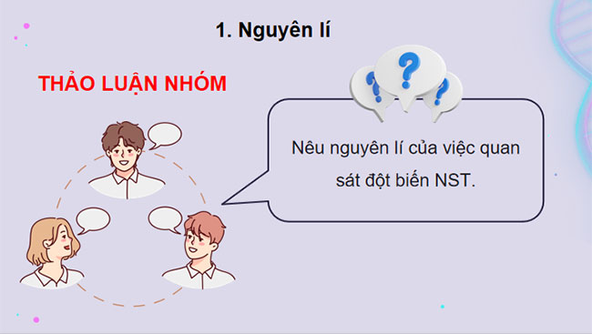 Thực hành Quan sát một số dạng đột biến nhiễm sắc thể