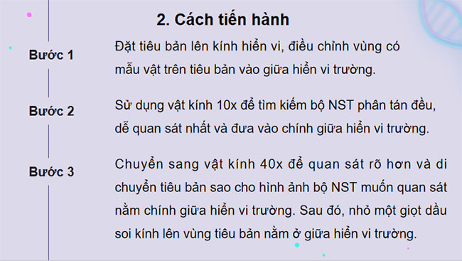 Thực hành Quan sát một số dạng đột biến nhiễm sắc thể