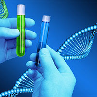 PowerPoint Sinh học 12 Bài 15: Di truyền gene ngoài nhân