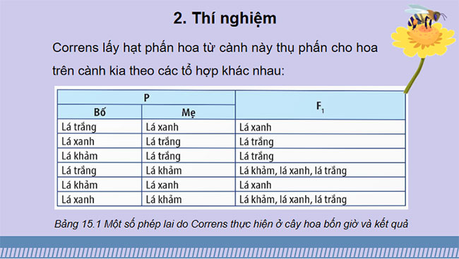Di truyền gene ngoài nhân