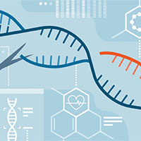 PowerPoint Sinh học 12 Bài 16: Tương tác giữa kiểu gene với môi trường và thành tựu chọn giống