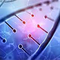 PowerPoint Sinh học 12 Bài 17: Thực hành Thí nghiệm về thường biến ở cây trồng