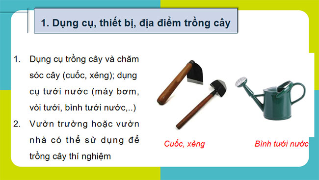 Thực hành Thí nghiệm về thường biến ở cây trồng