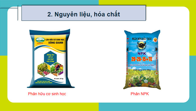 Thực hành Thí nghiệm về thường biến ở cây trồng