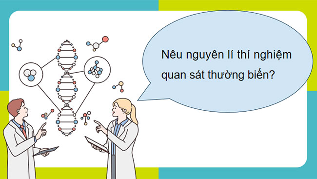 Thực hành Thí nghiệm về thường biến ở cây trồng
