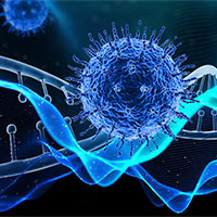 PowerPoint Sinh học 12 Bài 7: Cấu trúc và chức năng của nhiễm sắc thể