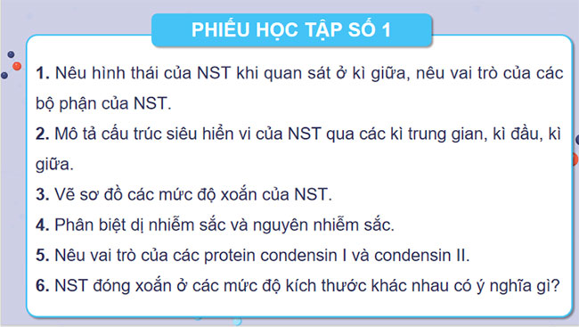 Cấu trúc và chức năng của nhiễm sắc thể