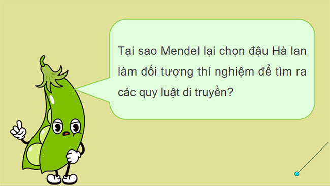 Học thuyết di truyền của Mendel