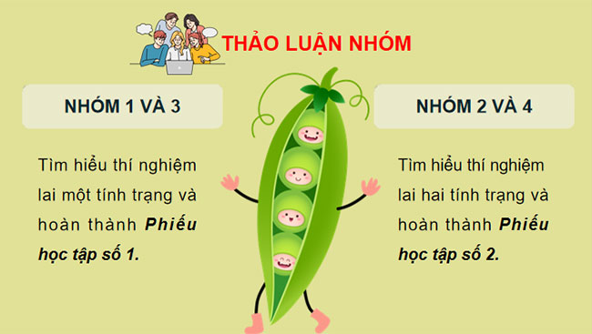 Học thuyết di truyền của Mendel