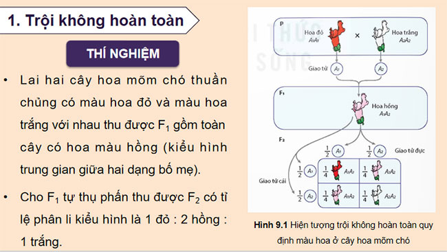Mở rộng học thuyết Mendel